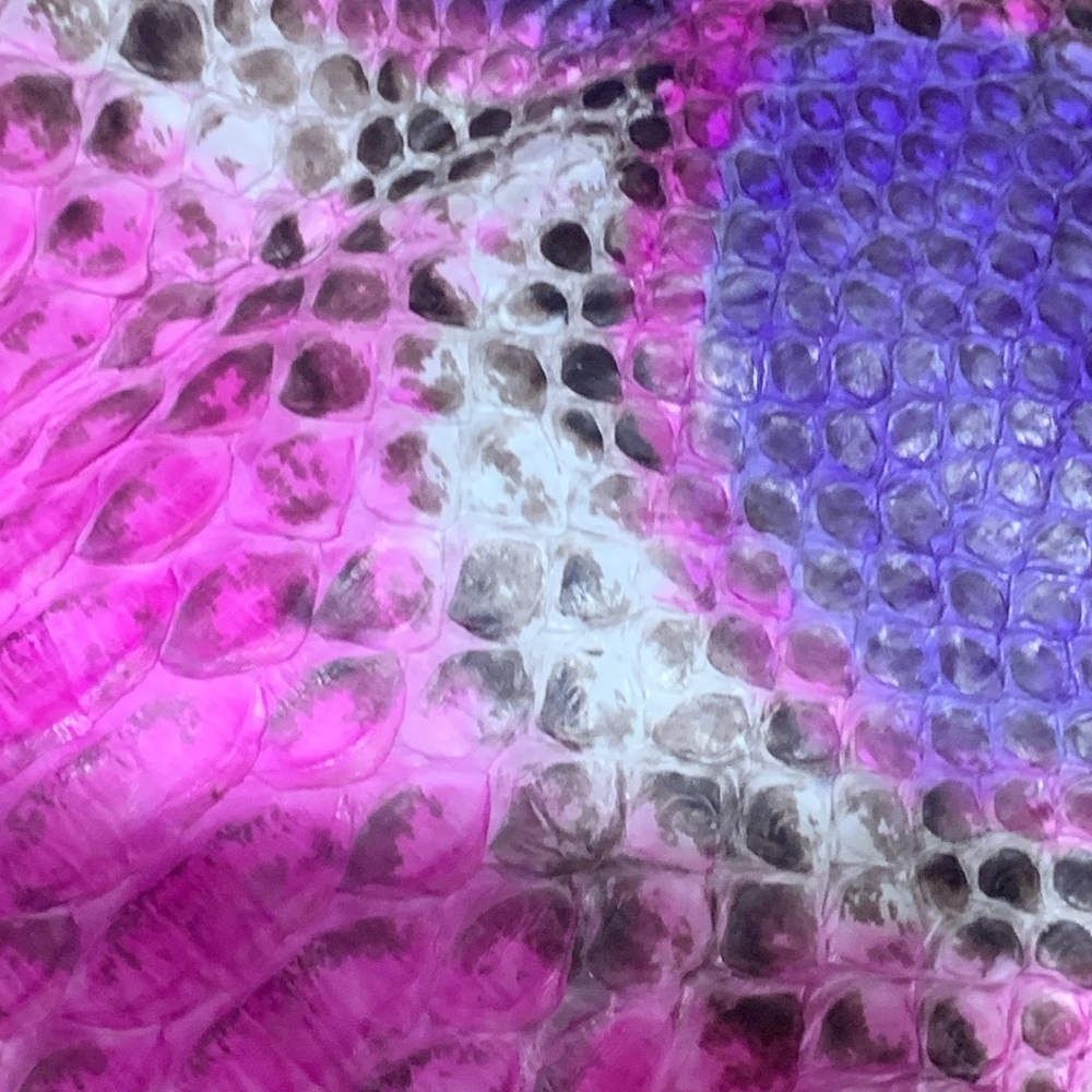 Absolutely Stunning Authentic Python Real Snake S… - image 6